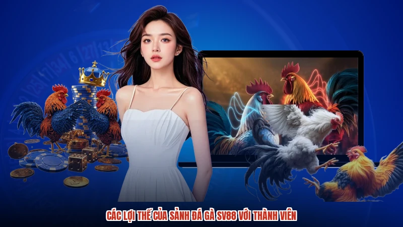 Các lợi thế của sảnh đá gà SV88 với thành viên