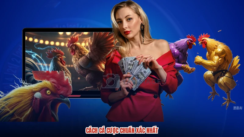 Cách cá cược chuẩn xác nhất