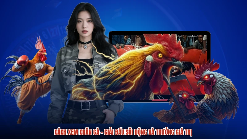 Cách Xem Chân Gà - Giải Đấu Sôi Động Và Thưởng Giá Trị