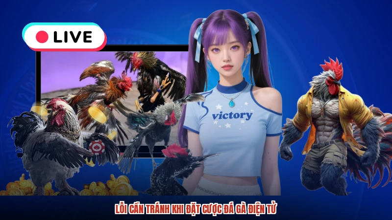 Lỗi cần tránh khi đặt cược đá gà điện tử