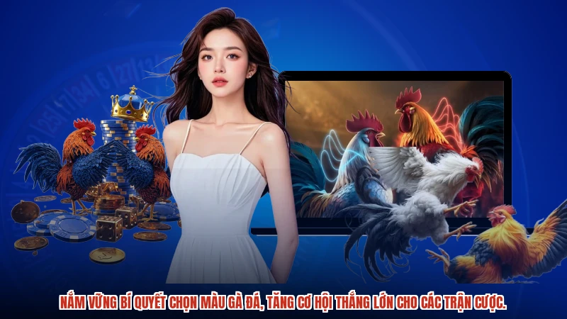 Nắm vững bí quyết chọn màu gà đá, tăng cơ hội thắng lớn cho các trận cược.