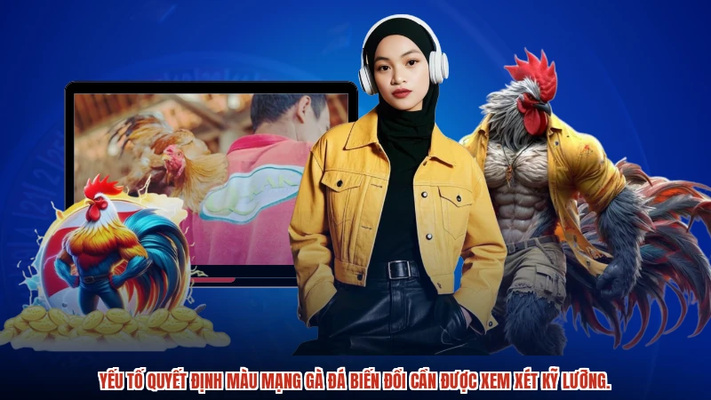 Yếu tố quyết định màu mạng gà đá biến đổi cần được xem xét kỹ lưỡng.
